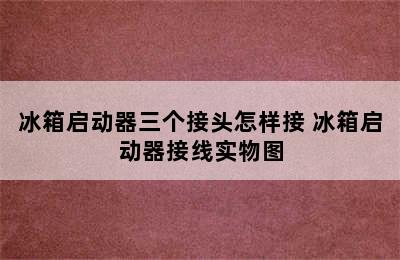 冰箱启动器三个接头怎样接 冰箱启动器接线实物图